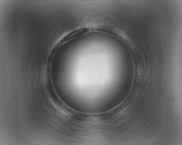X0000062900492200601131404