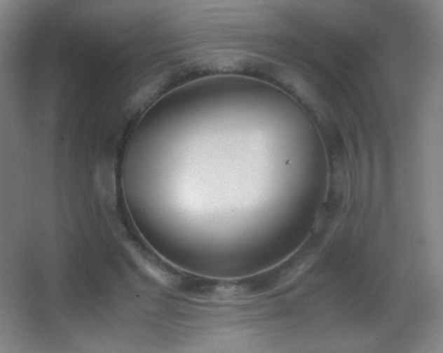X0000062900493200601131404