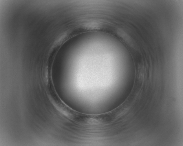 X0000062900494200601131404
