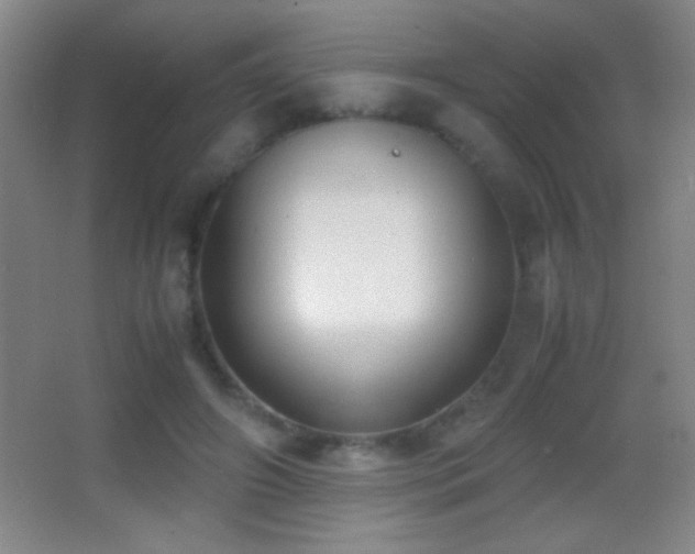 X0000062900498200601131404