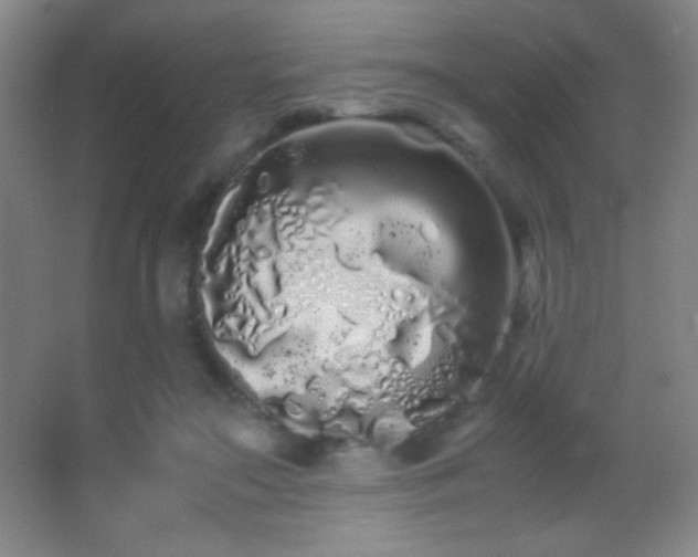 X0000062900499200601131404