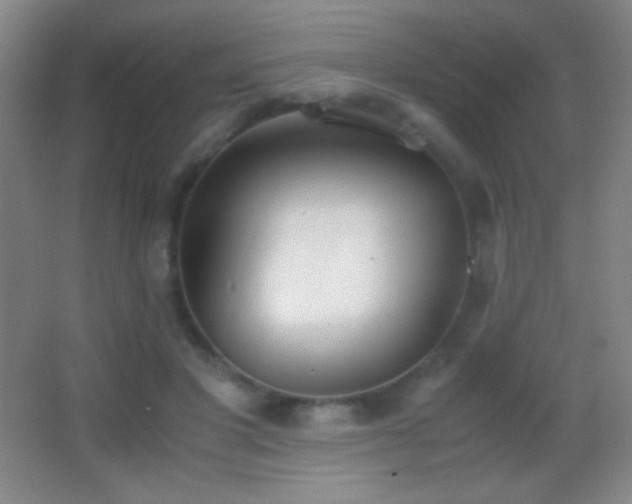 X0000062900501200601131404