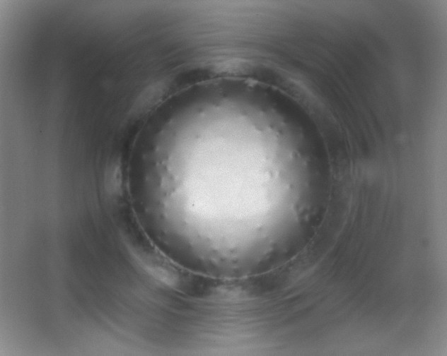 X0000062900502200601131404