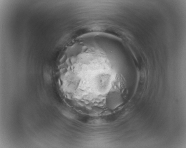 X0000062900503200601131404