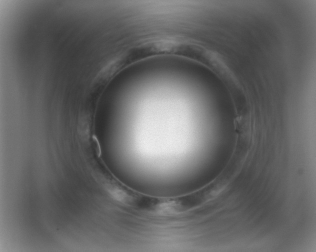 X0000062900505200601131404