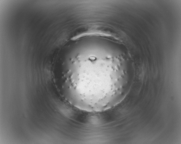 X0000062900510200601131404