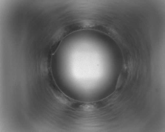 X0000062900512200601131404