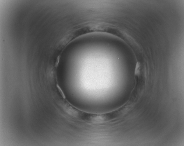 X0000062900513200601131404
