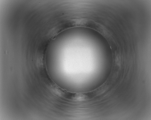 X0000062900514200601131404