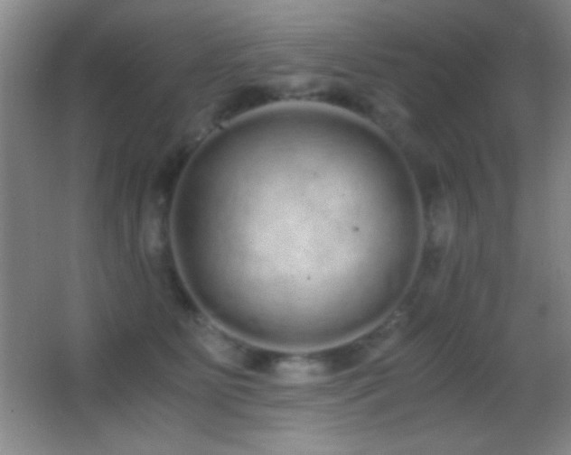 X0000062900515200601131404