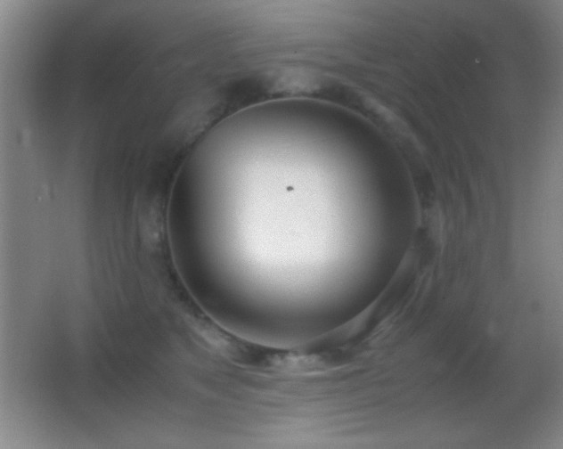 X0000062900517200601131403