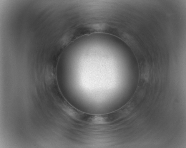 X0000062900518200601131403