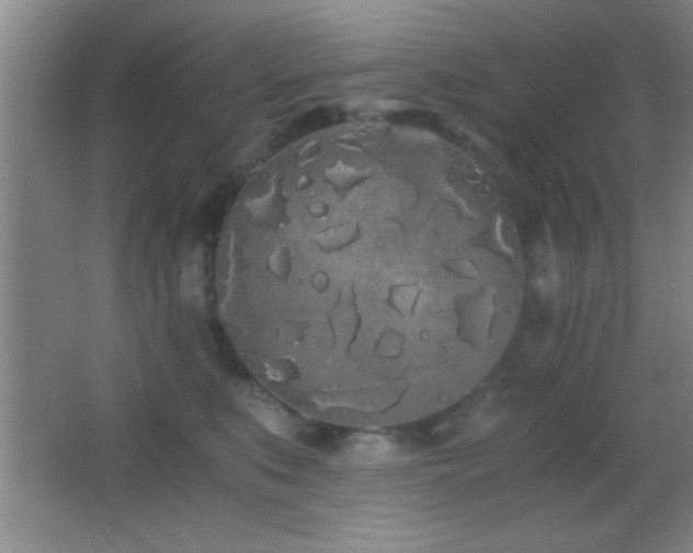 X0000062900519200601131403