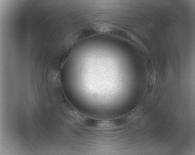 X0000062900521200601131403