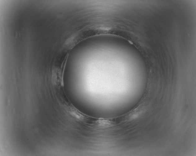 X0000062900528200601131403