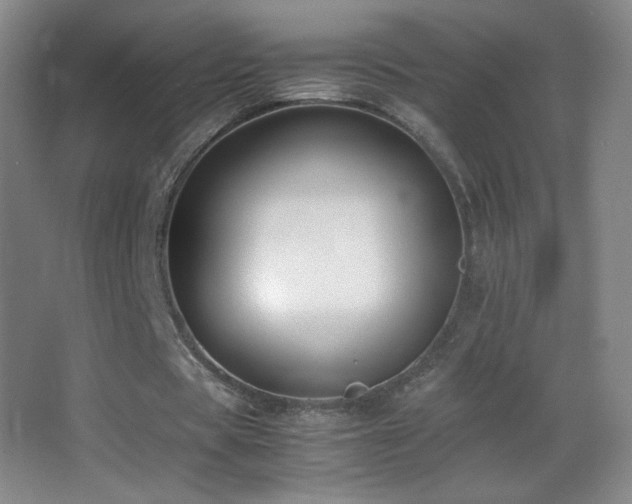 X0000062900529200601131403
