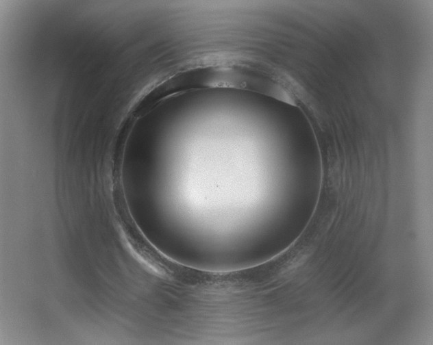 X0000062900530200601131403