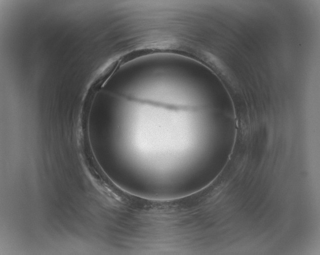 X0000062900532200601131403