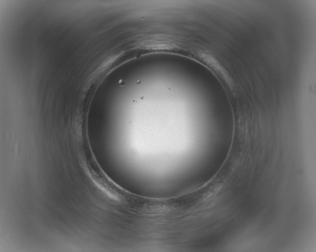 X0000062900533200601131403