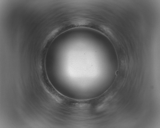 X0000062900539200601131403