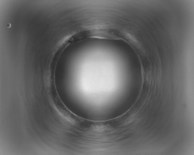 X0000062900540200601131403