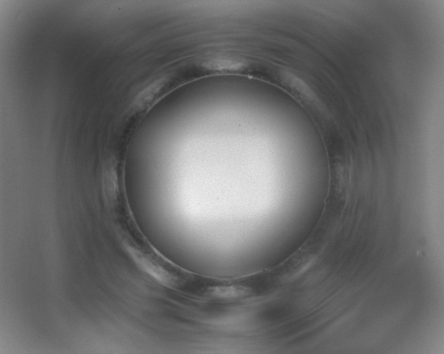 X0000062900541200601131403
