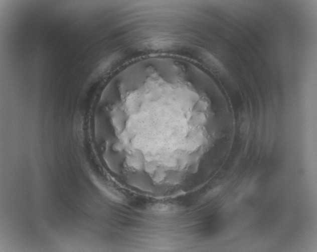 X0000062900542200601131403