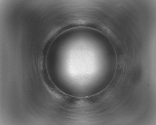 X0000062900544200601131403