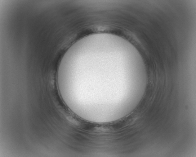 X0000062900545200601131403