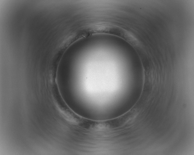 X0000062900546200601131403