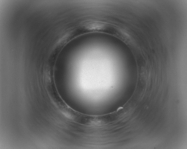 X0000062900547200601131403