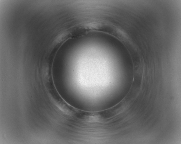X0000062900548200601131403
