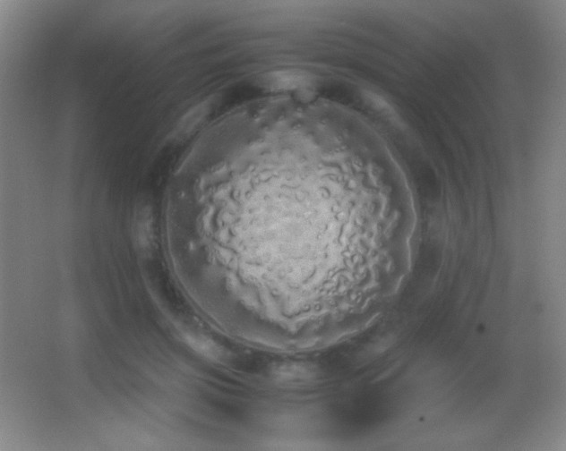 X0000062900549200601131403
