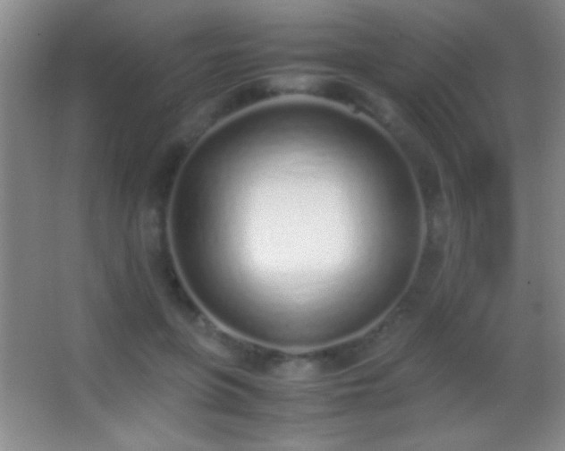X0000062900551200601131403