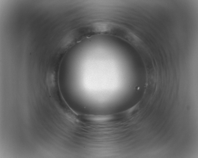 X0000062900556200601131403