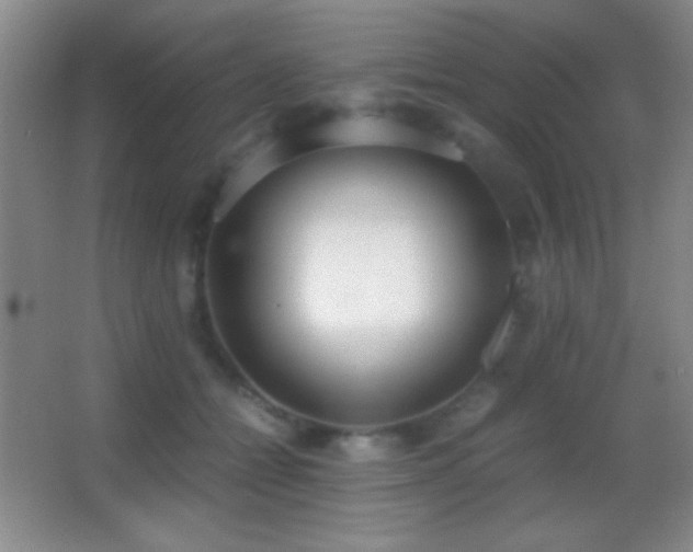 X0000062900558200601131403