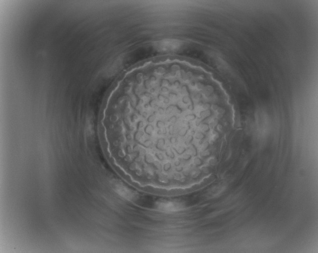 X0000062900561200601131403