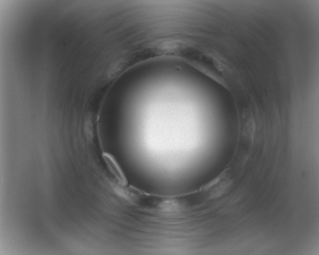 X0000062900562200601131403
