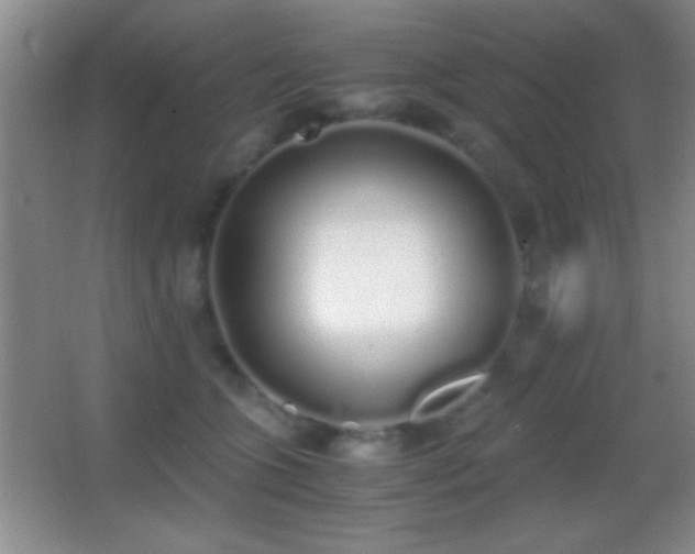 X0000062900563200601131403