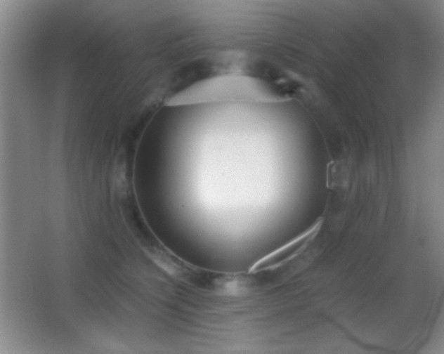 X0000062900564200601131403