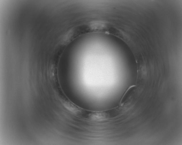 X0000062900567200601131403