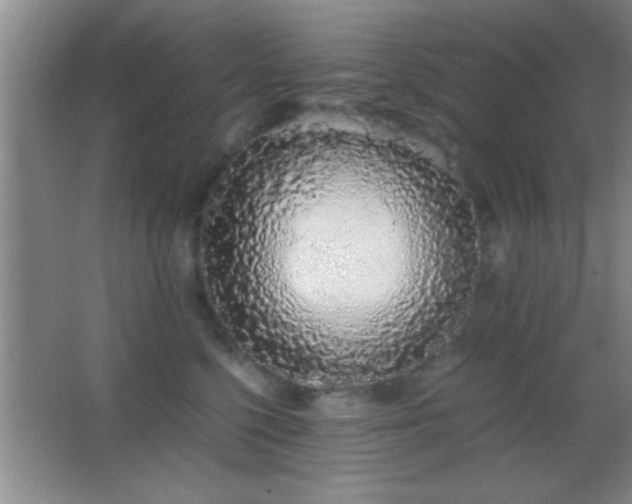 X0000062900568200601131403