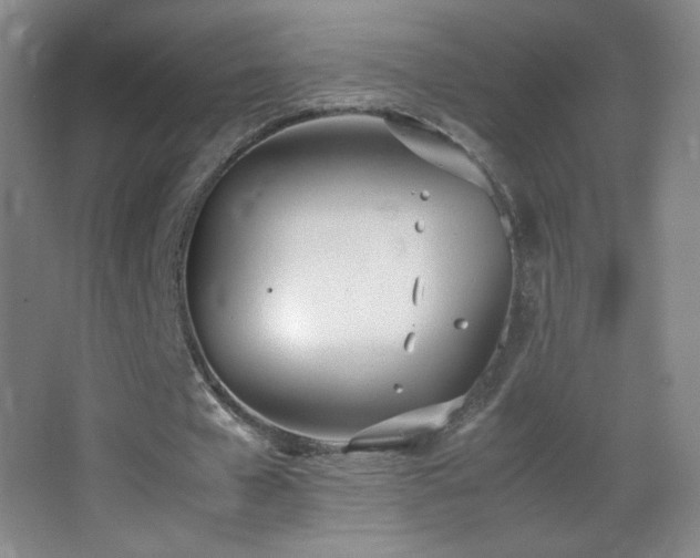 X0000062900577200601131402