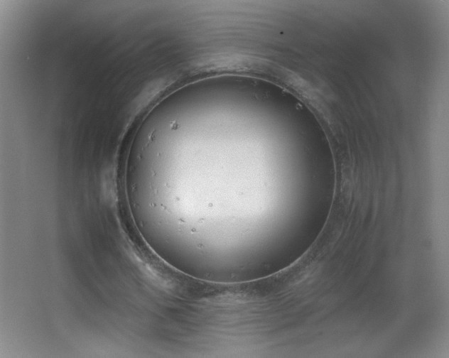 X0000062900578200601131402