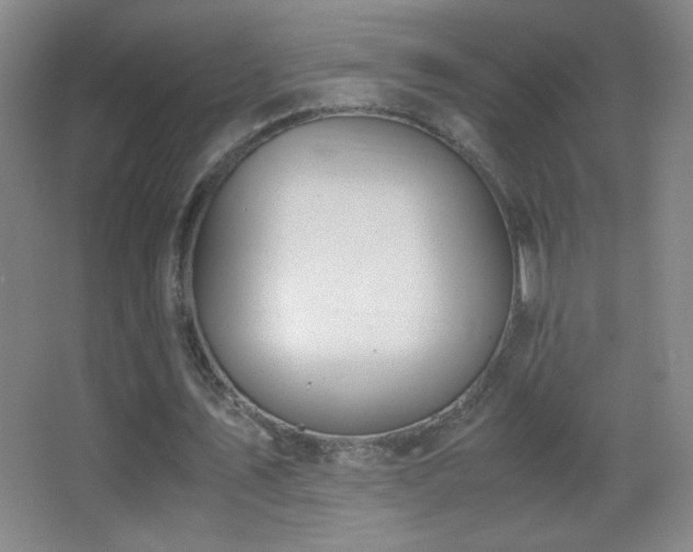 X0000062900579200601131402