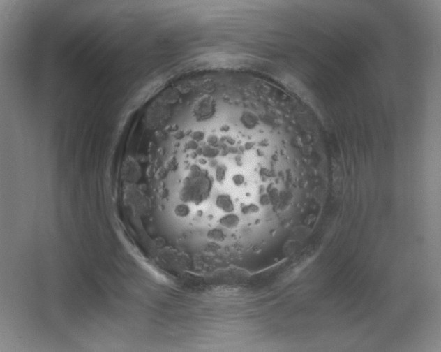 X0000062900581200601131402