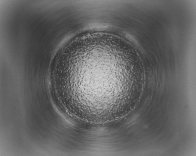 X0000062900582200601131402