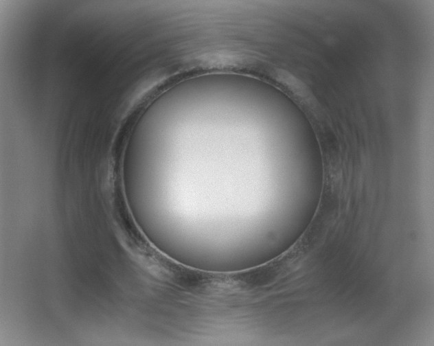 X0000062900583200601131402