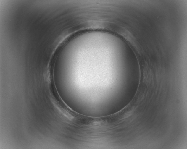 X0000062900584200601131402