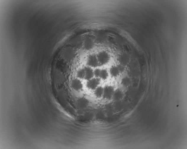 X0000062900585200601131402